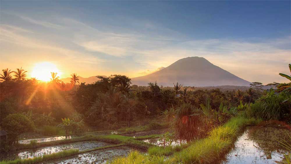 See Agung volcano, the highest point on the island