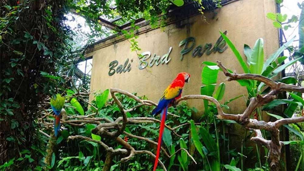 Bali Bird Park