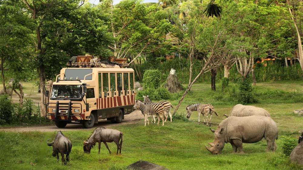 Bali Safari and Marine Park