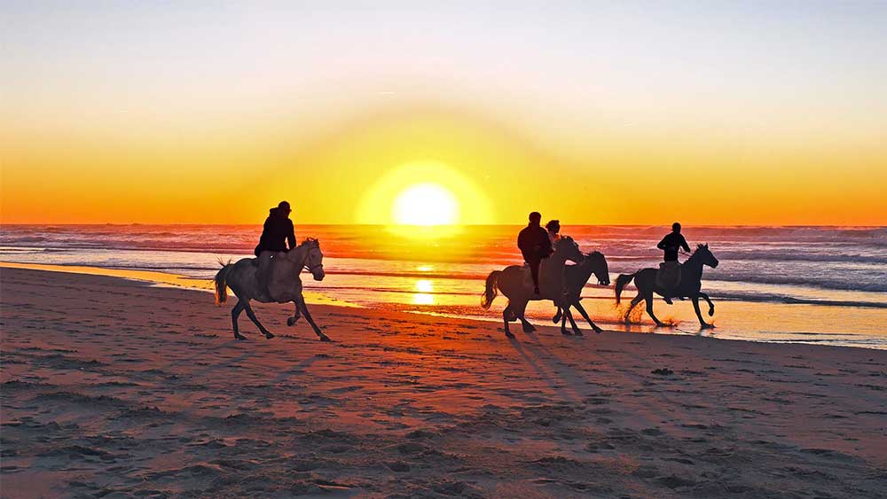 Canggu Beach for Horse Riding